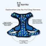 Essential Exploration No-Pull Harness Walk Set - Dino (3-Piece)