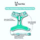 Essential Adjustable Harness Walk Set - Dream Team (3-Piece) (Final Sale)