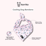 Ultimate Collar Bundle Set - Over The Rainbow (5-Piece)