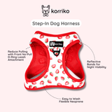 Essential Step-In Harness Walk Set - Strawberries & Cream (3-Piece)