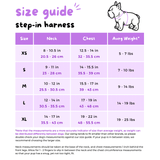 Step-In Dog Harness - Strawberries & Cream