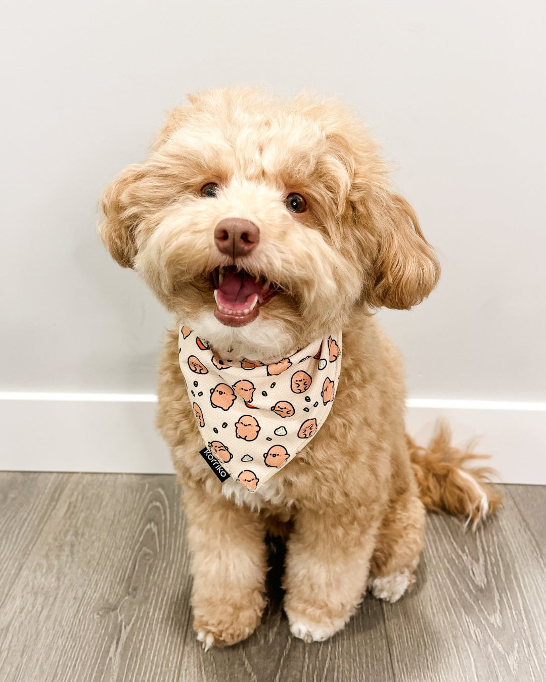 Cooling Dog Bandana - Potato