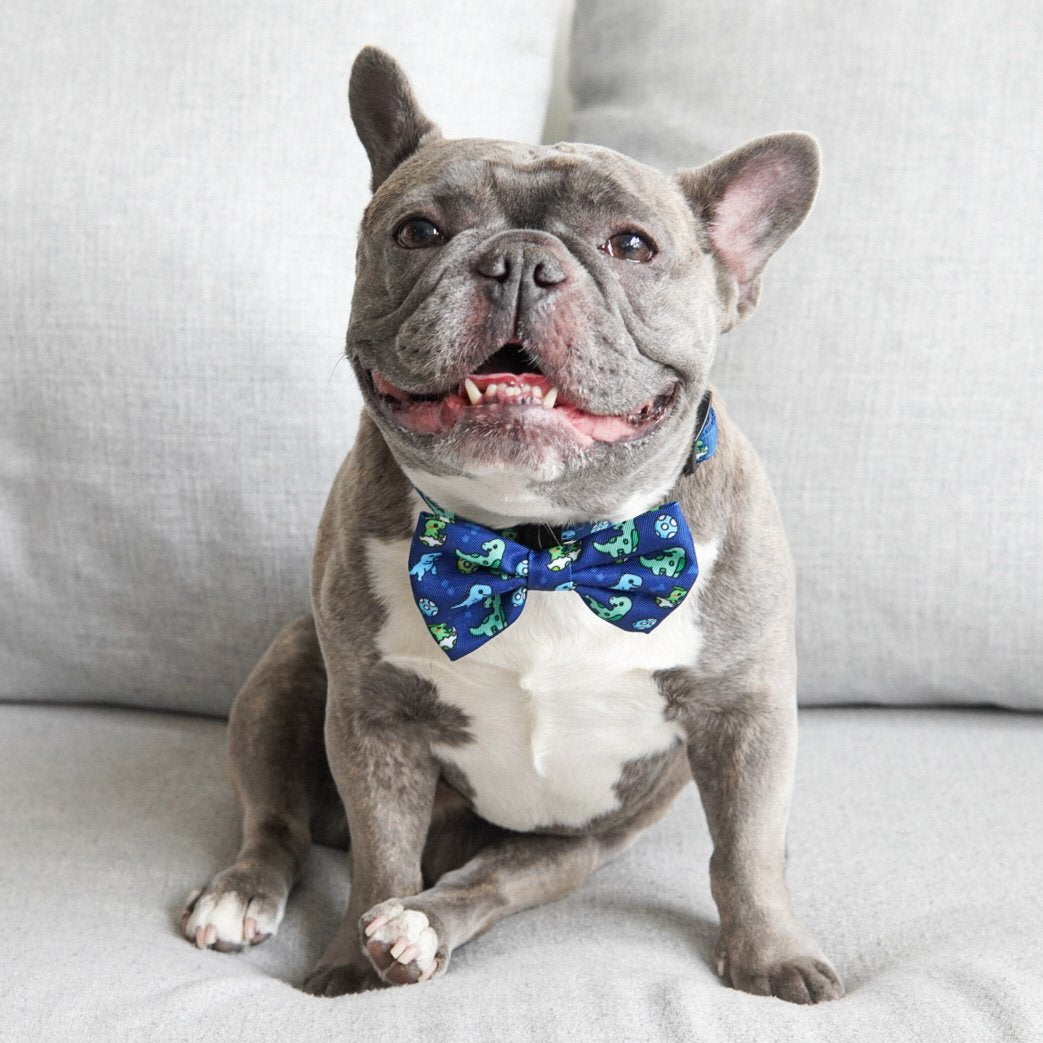 Dog Bow Tie - Dino (SECONDS - FINAL SALE)