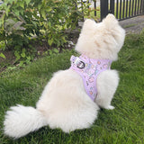 Step-In Dog Harness - Gummy Bear