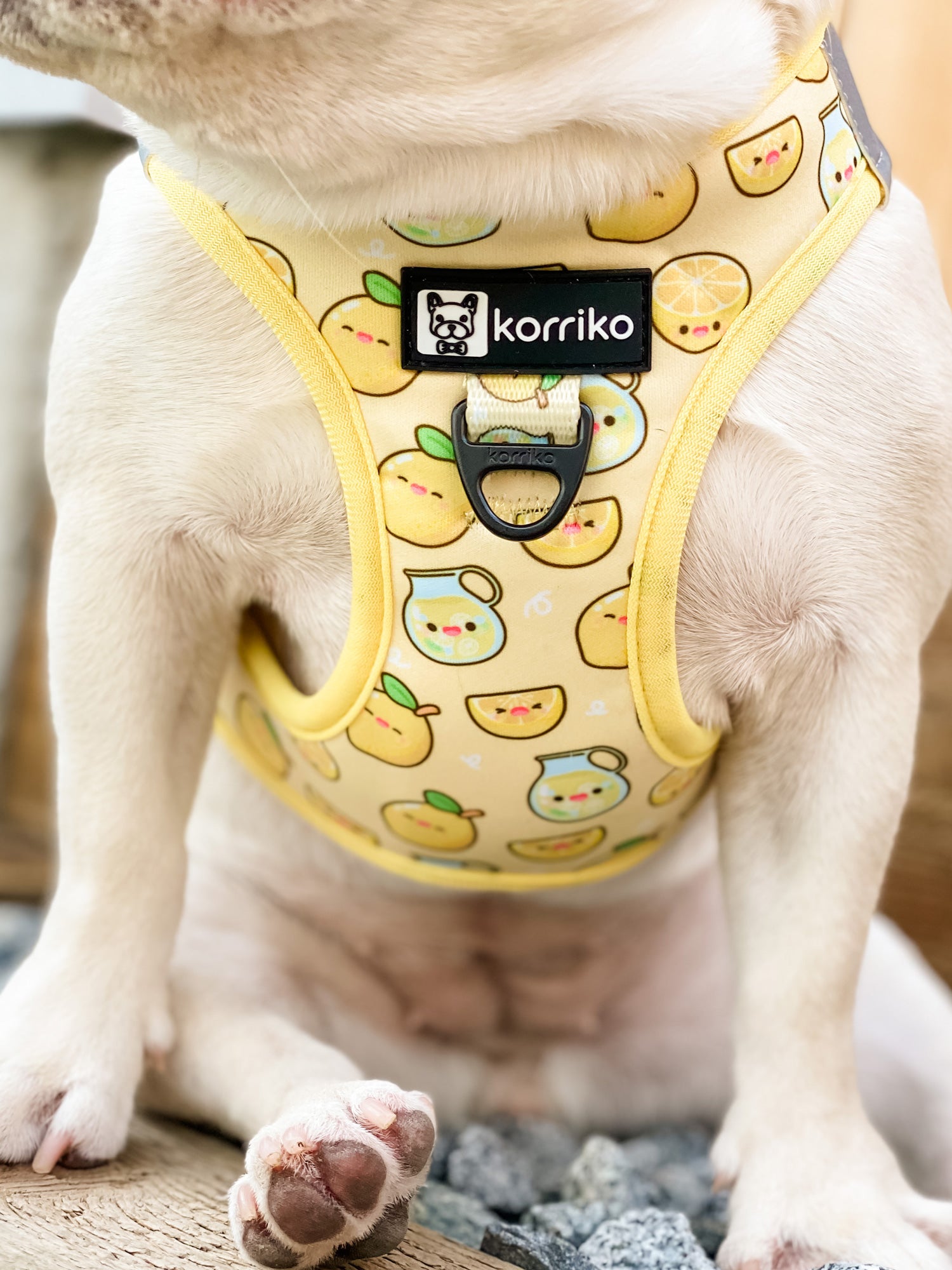 Step-In Dog Harness - Lemonade