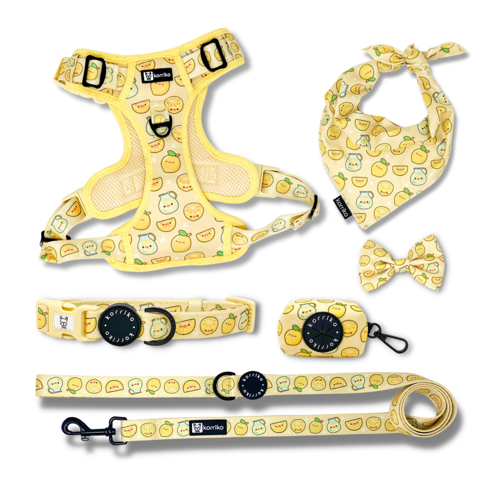 Harness Bundle Set - Lemonade (Exploration No-Pull)