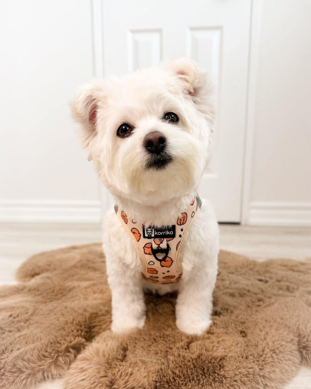 Ultimate Harness Bundle Set - Potato (Step-In)