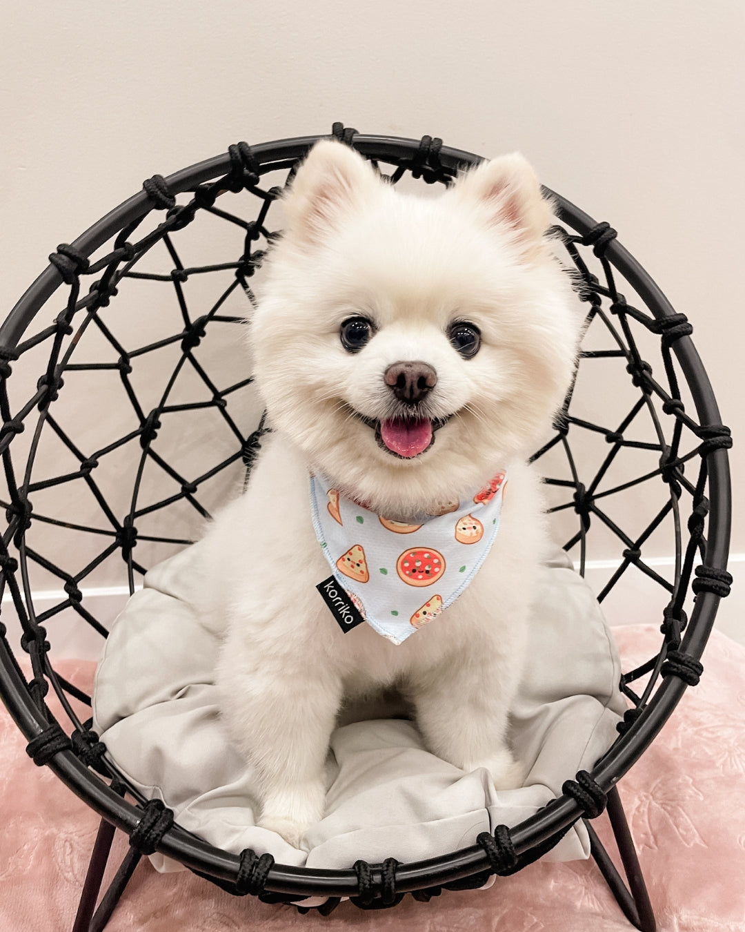 Cooling Dog Bandana - Pizza