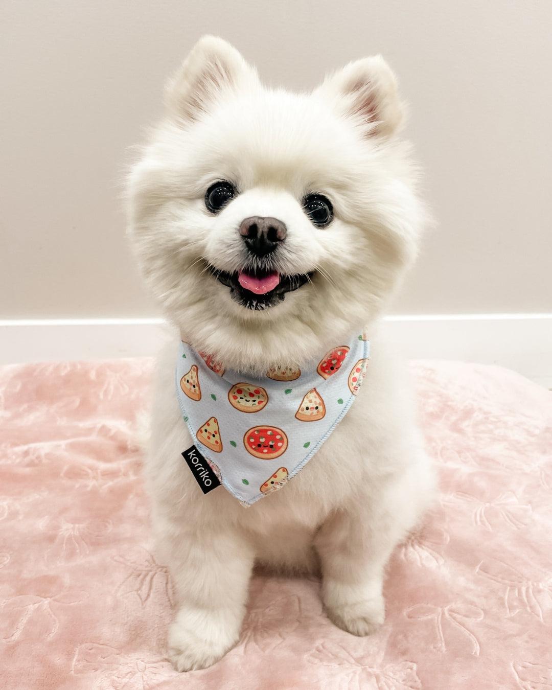 Cooling Dog Bandana - Pizza