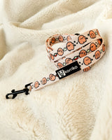 Ultimate Harness Bundle Set - Potato (Step-In)