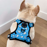 Essential Exploration No-Pull Harness Walk Set - Shark (3-Piece)