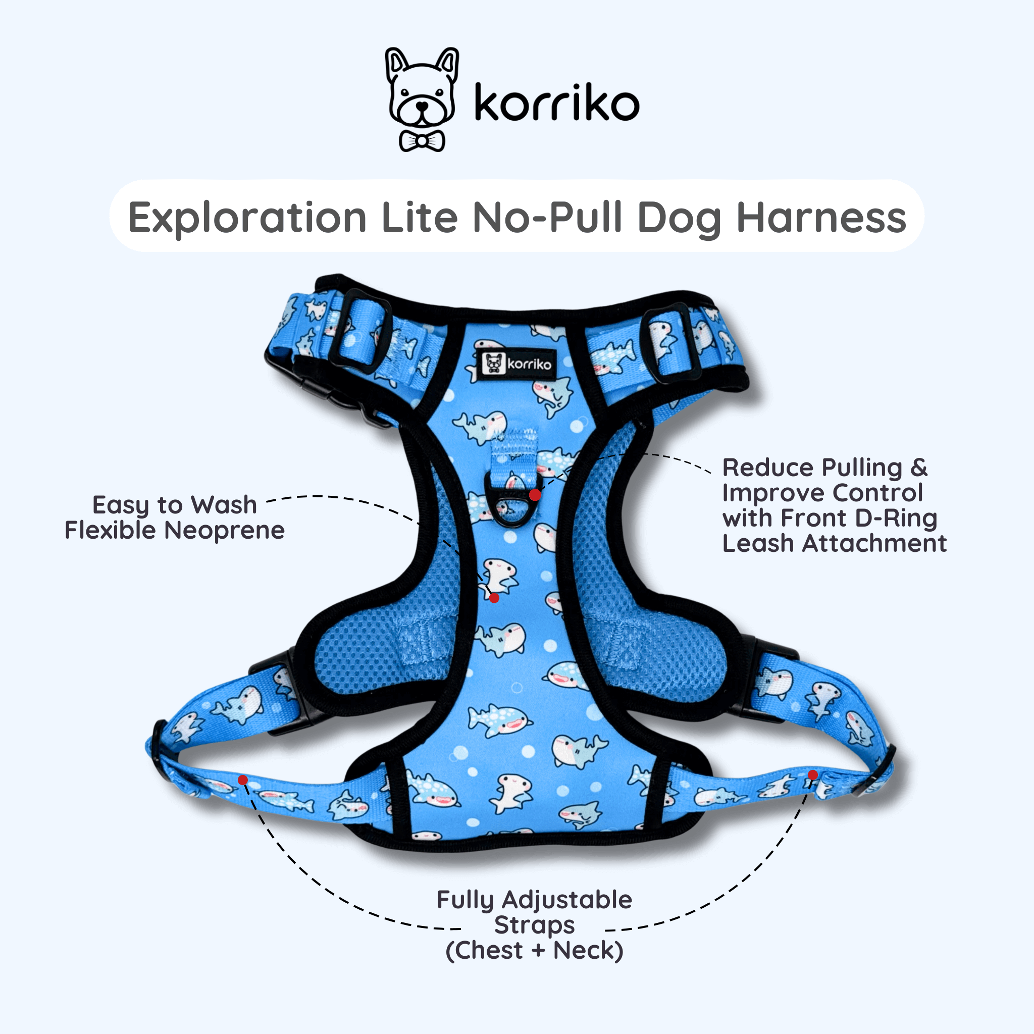 Essential Exploration No-Pull Harness Walk Set - Shark (3-Piece)