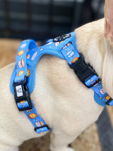 Essential Exploration No-Pull Harness Walk Set - S'mores (3-Piece)