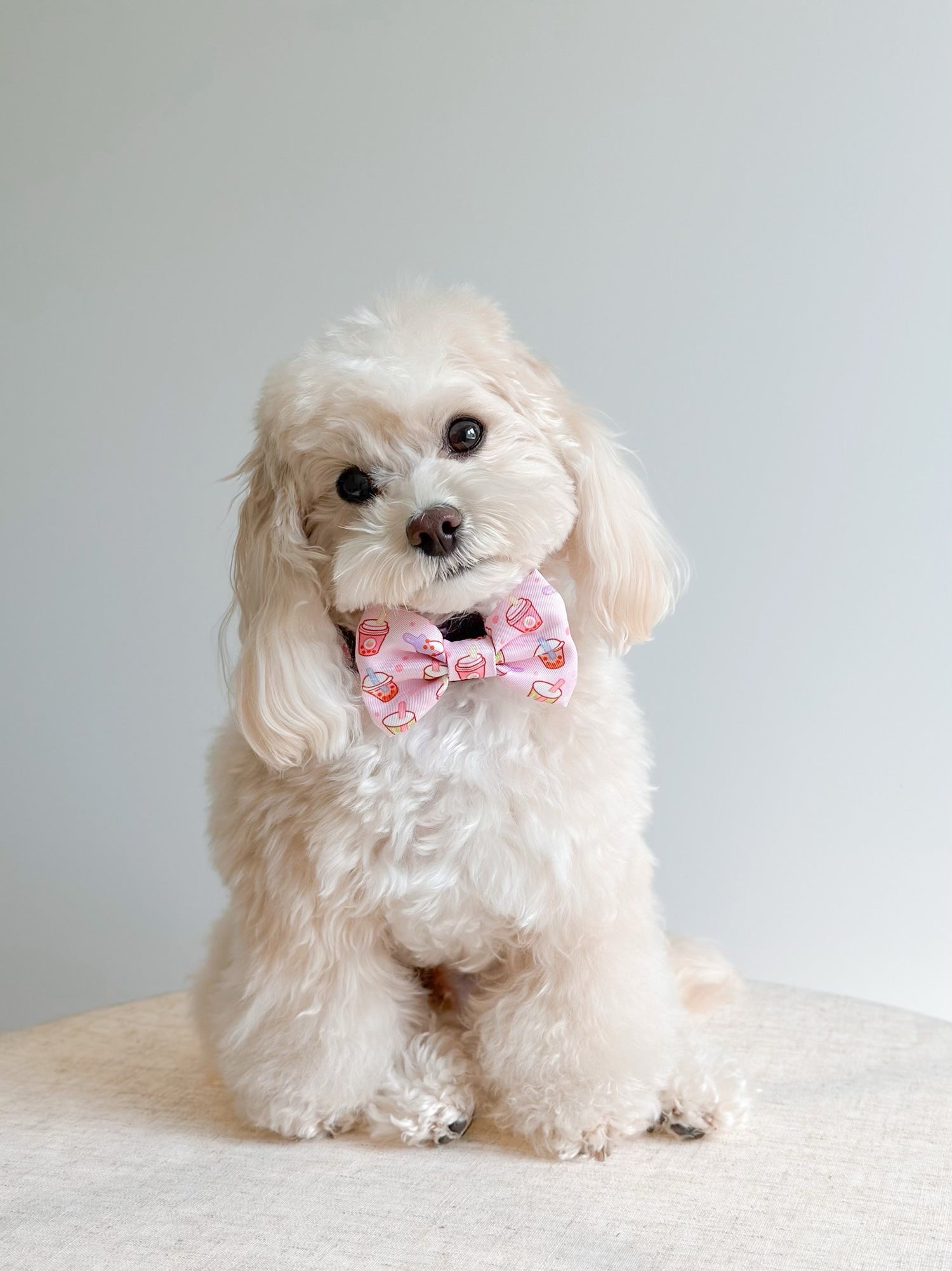 Dog Bow Tie - Taro Milk Tea