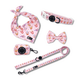 Ultimate Collar Bundle Set - Taro Milk Tea (5-Piece) (Preorder - Late June)