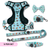 Ultimate Harness Bundle Set - Sushi (Exploration No-Pull)