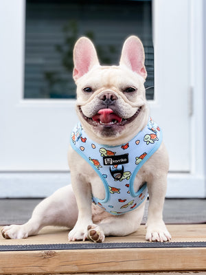 Adjustable Dog Harness - Under The Sea