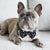 Dog Bow Tie - Terrazzo (SECONDS - FINAL SALE)