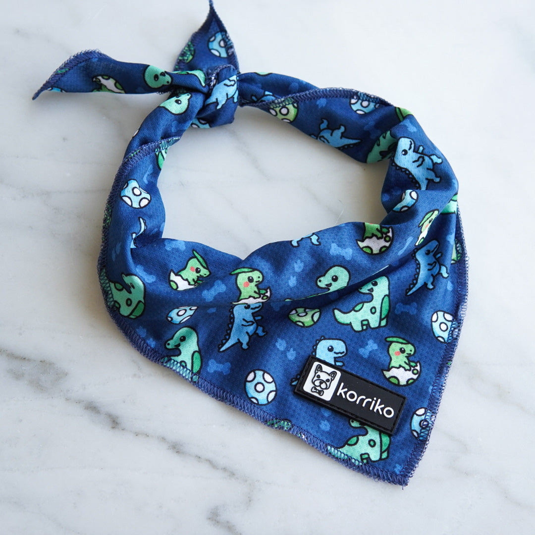 Ultimate Collar Bundle Set - Dino (5-Piece)