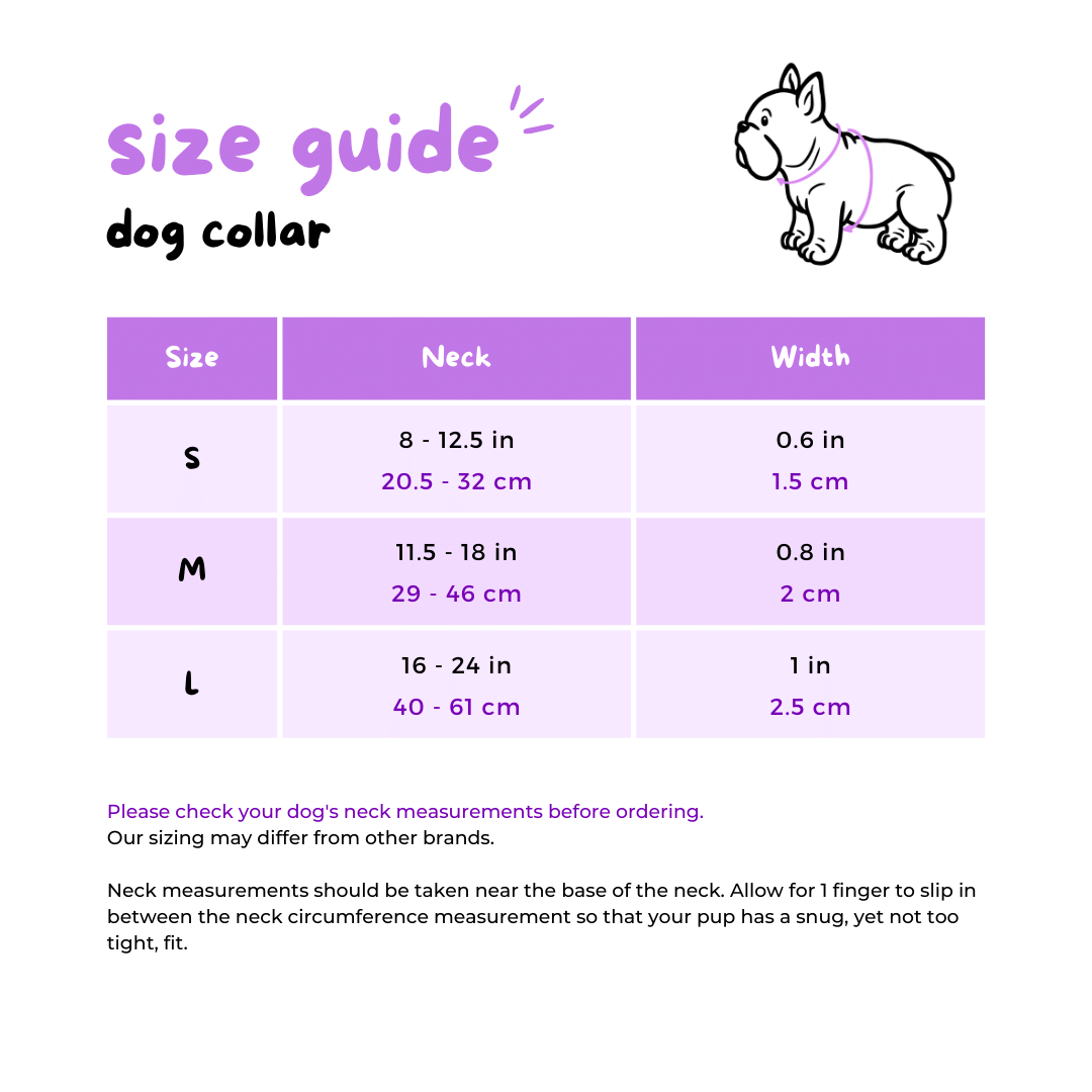 Ultimate Exploration No-Pull Harness Bundle Set - Dino (6-Piece)