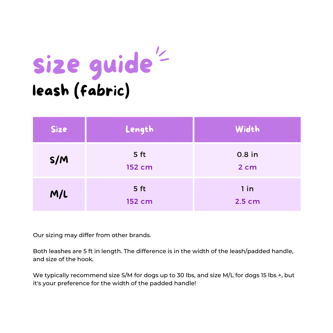 Dog Leash - Space Cadet (Final Sale)