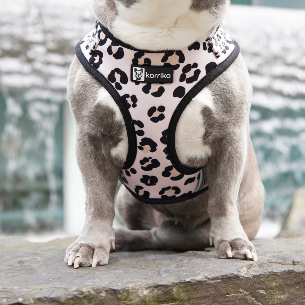 Adjustable Dog Harness - Leopard