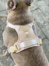 Exploration Lite No-Pull Dog Harness - Almond Nude (Final Sale)