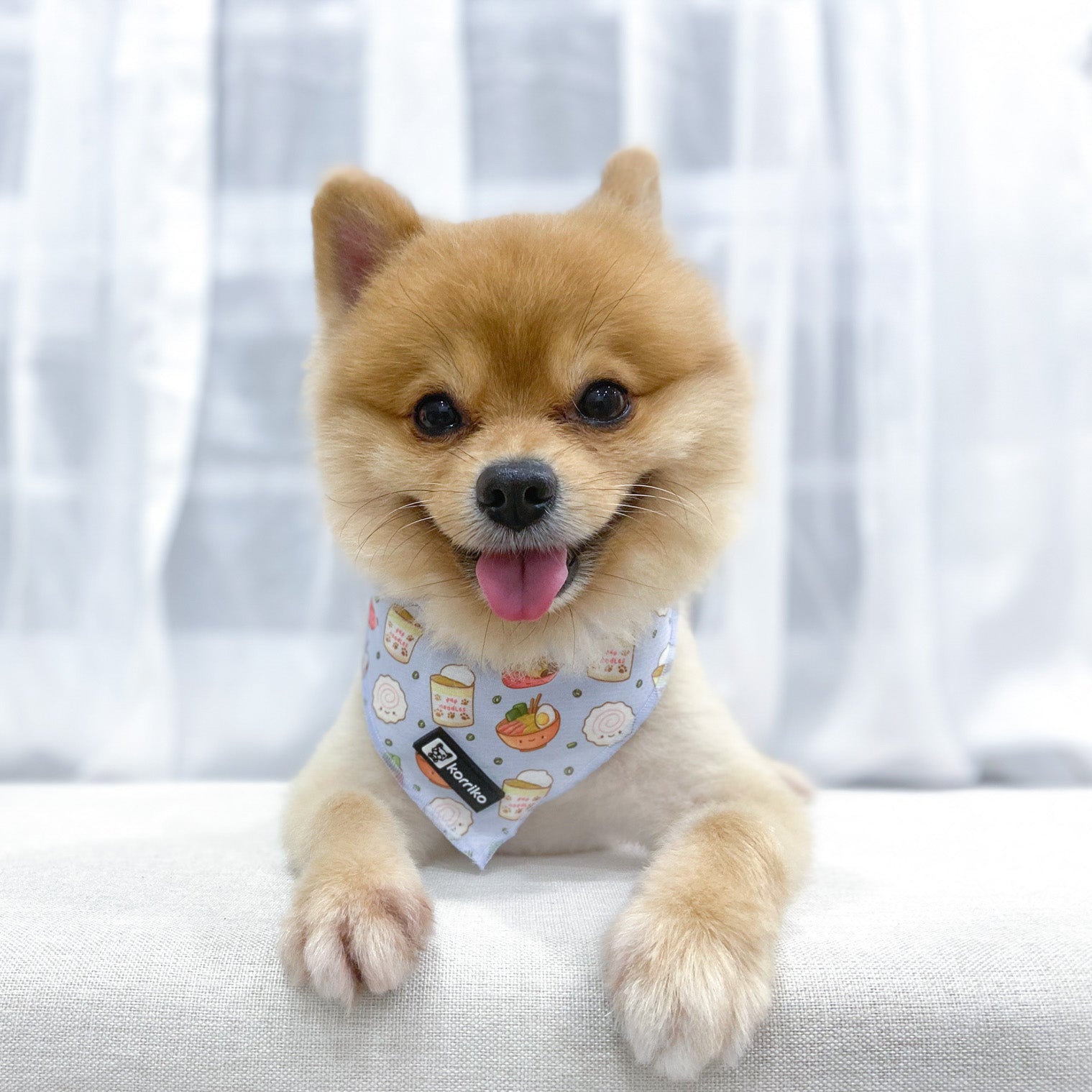 Cooling Dog Bandana - Ramen