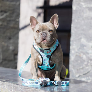 Reversible Dog Harness - Pupflix (Final Sale)