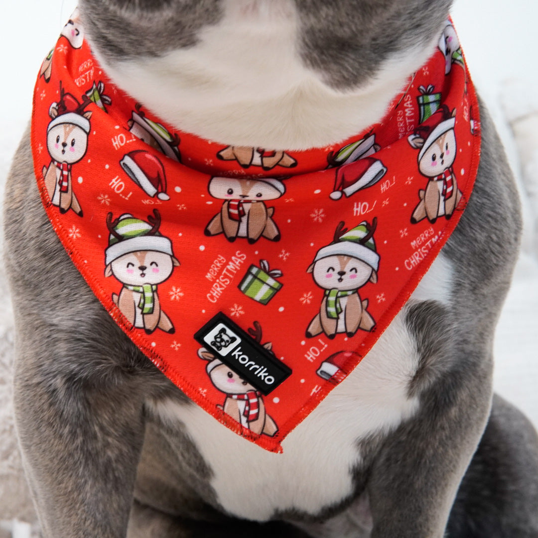 Cooling Dog Bandana - Christmas Reindeer (Final Sale)