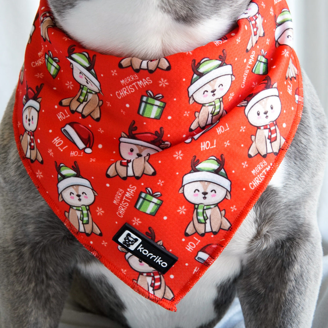 Cooling Dog Bandana - Christmas Reindeer (Final Sale)