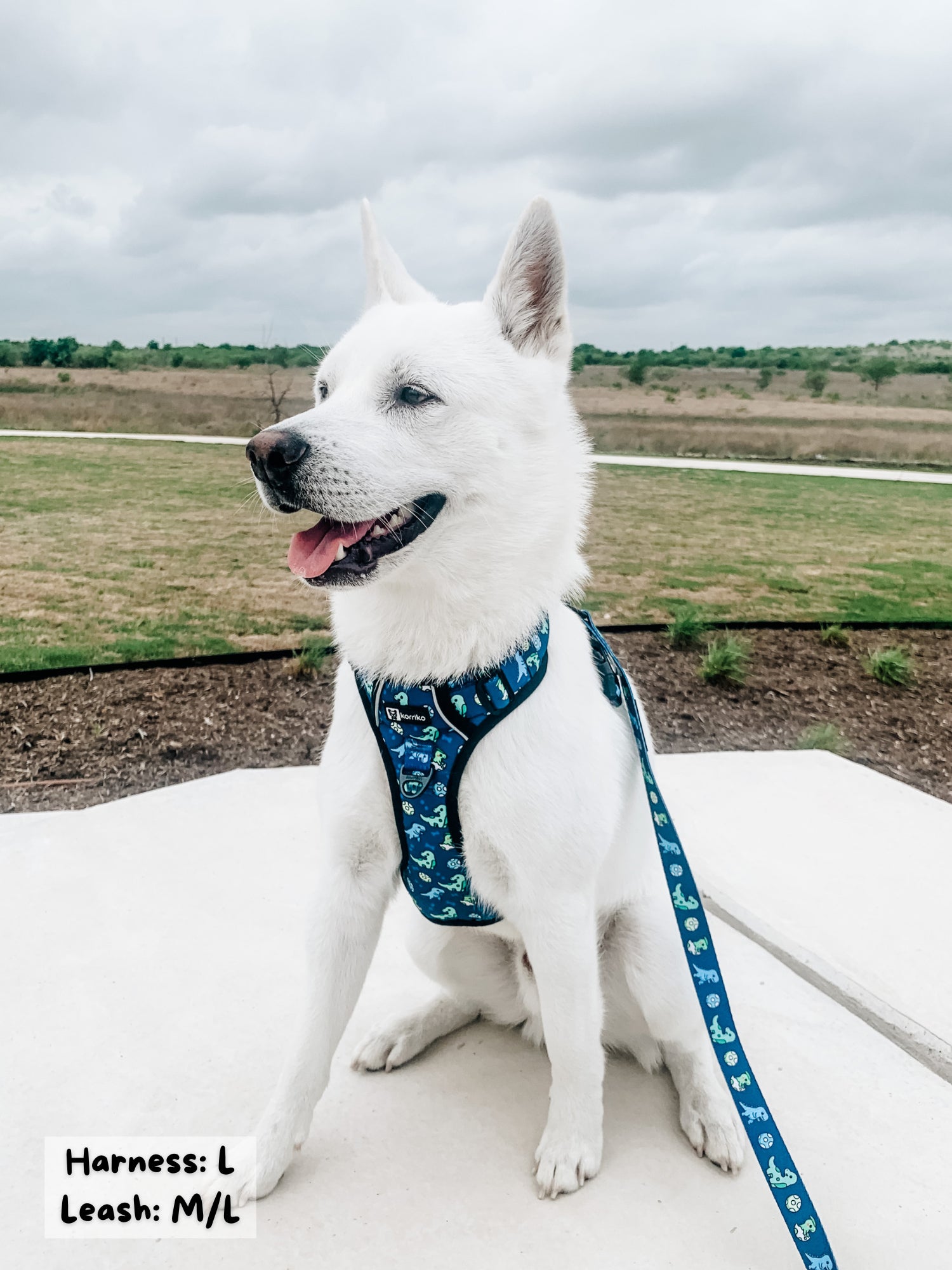 Exploration No-Pull Dog Harness - Dino