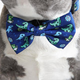 Ultimate Collar Bundle Set - Dino (5-Piece)
