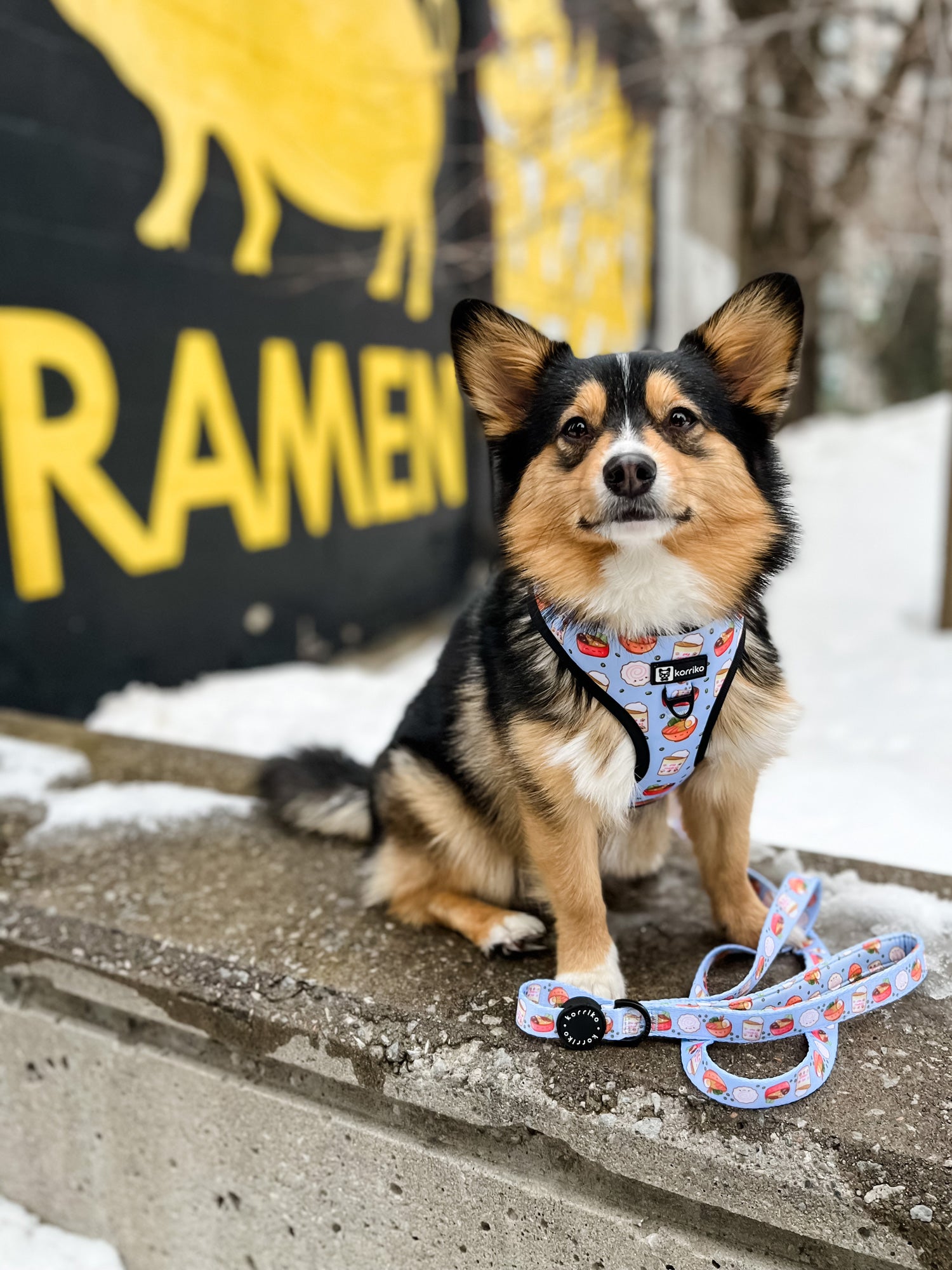 Dog Leash - Ramen