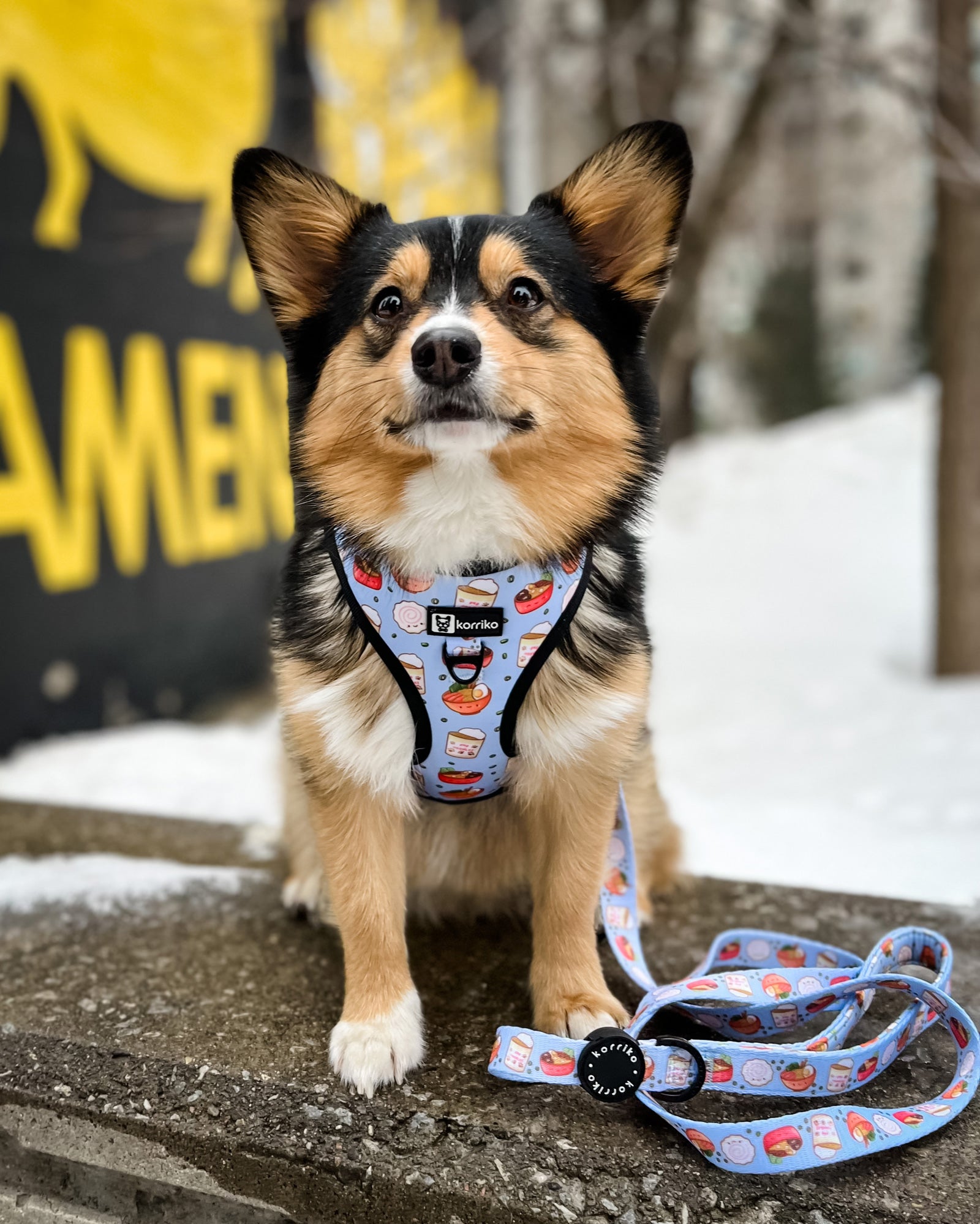 Adjustable Dog Harness - Ramen