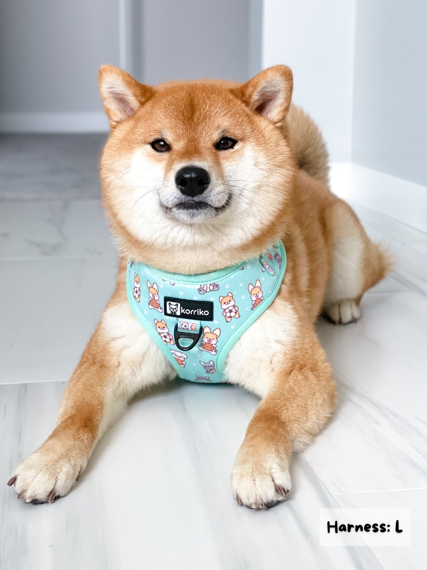 Adjustable Dog Harness - Dream Team