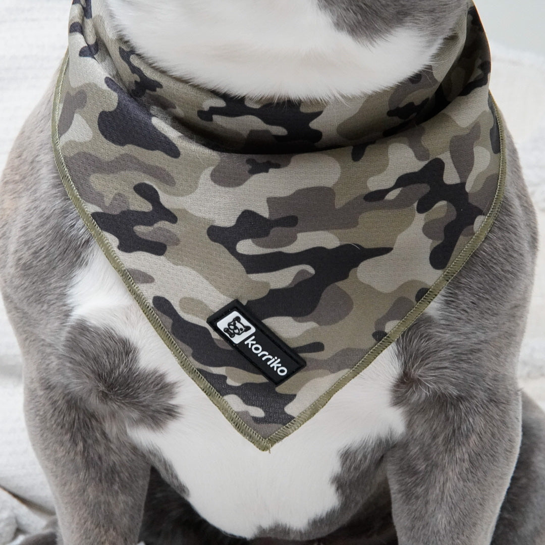 Cooling Dog Bandana - Green Camo (Final Sale)