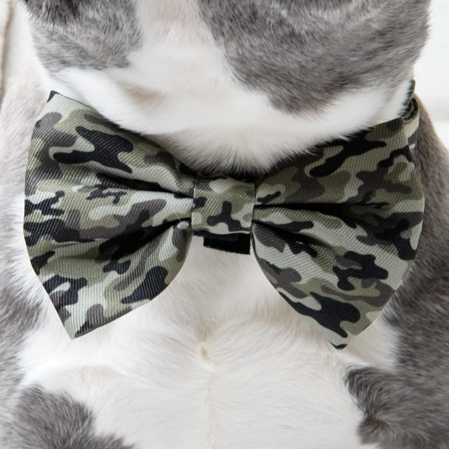 Dog Bow Tie - Green Camo