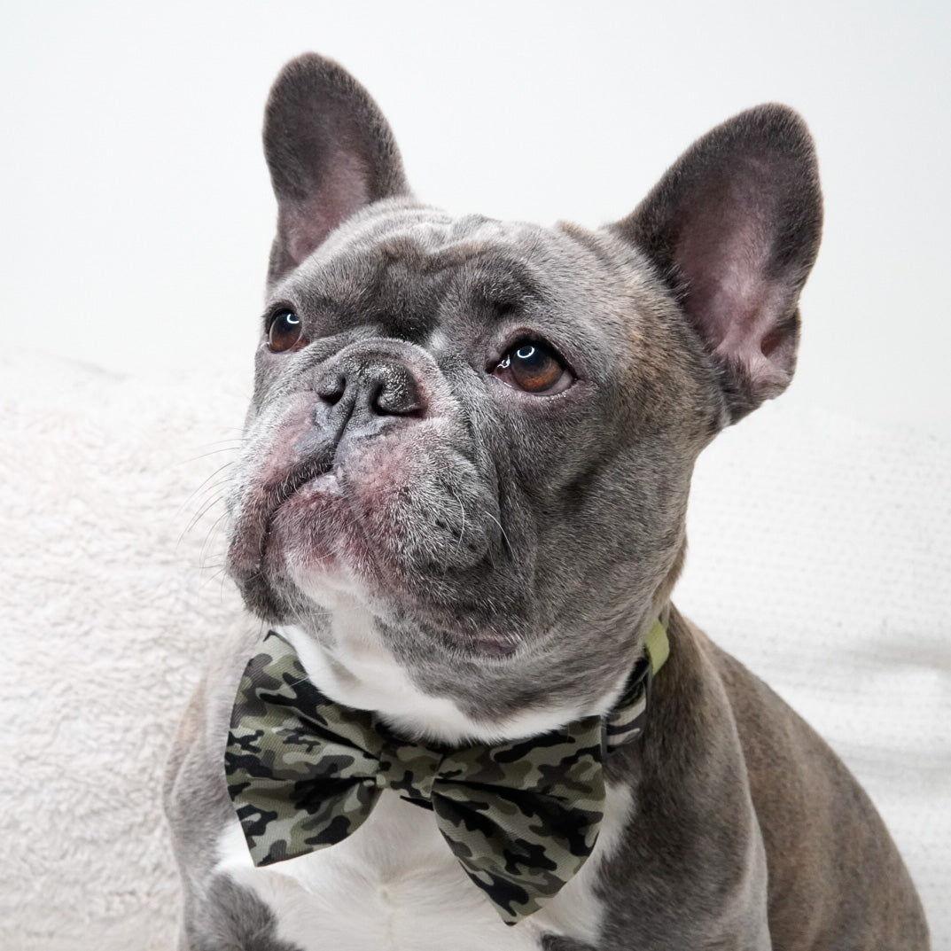 Dog Bow Tie - Green Camo