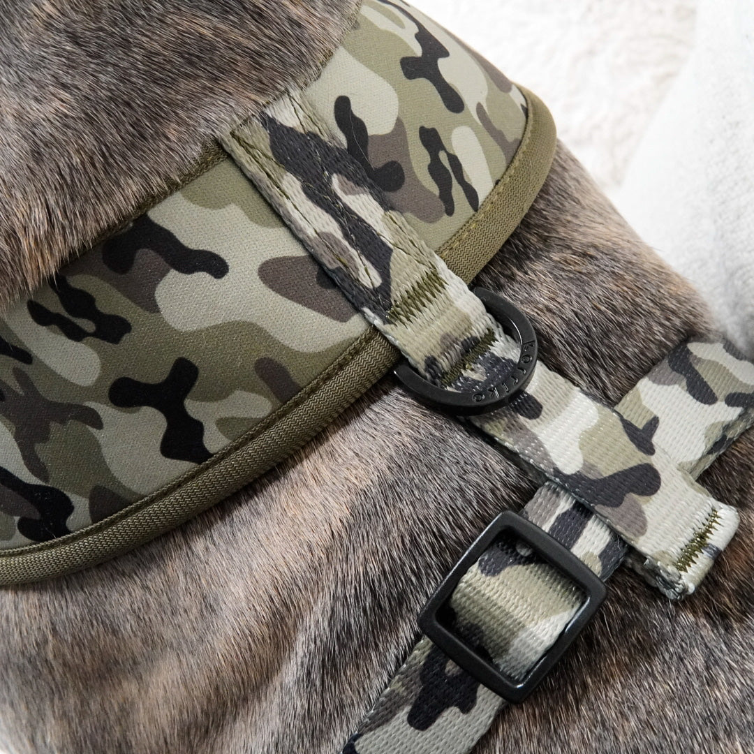 Classic No-Pull Dog Harness - Green Camo (Final Sale)