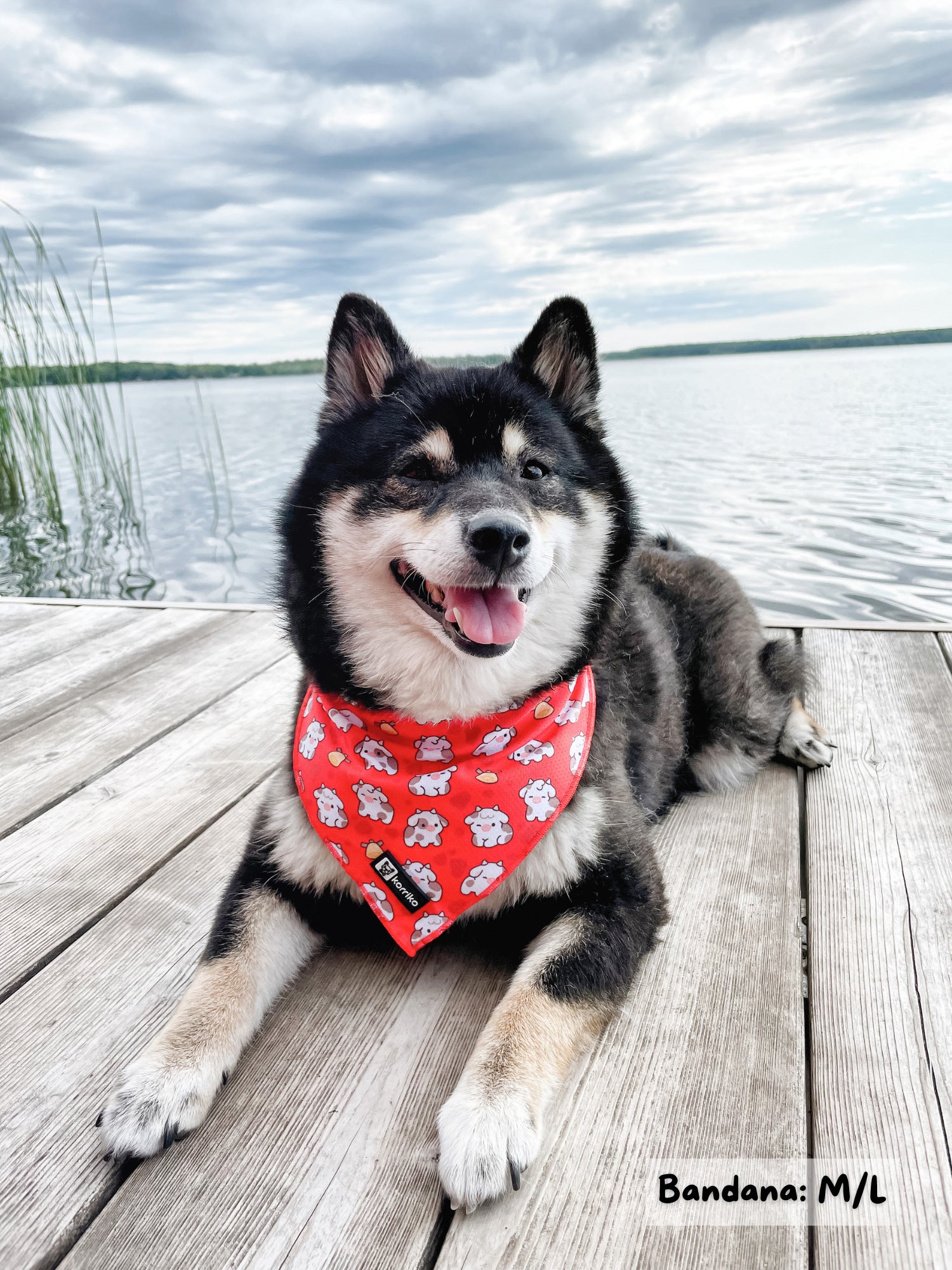 Cooling Dog Bandana - Moo Moo