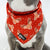 Cooling Dog Bandana - Jolly Reindeer (Blue Paw Co. - FINAL SALE)