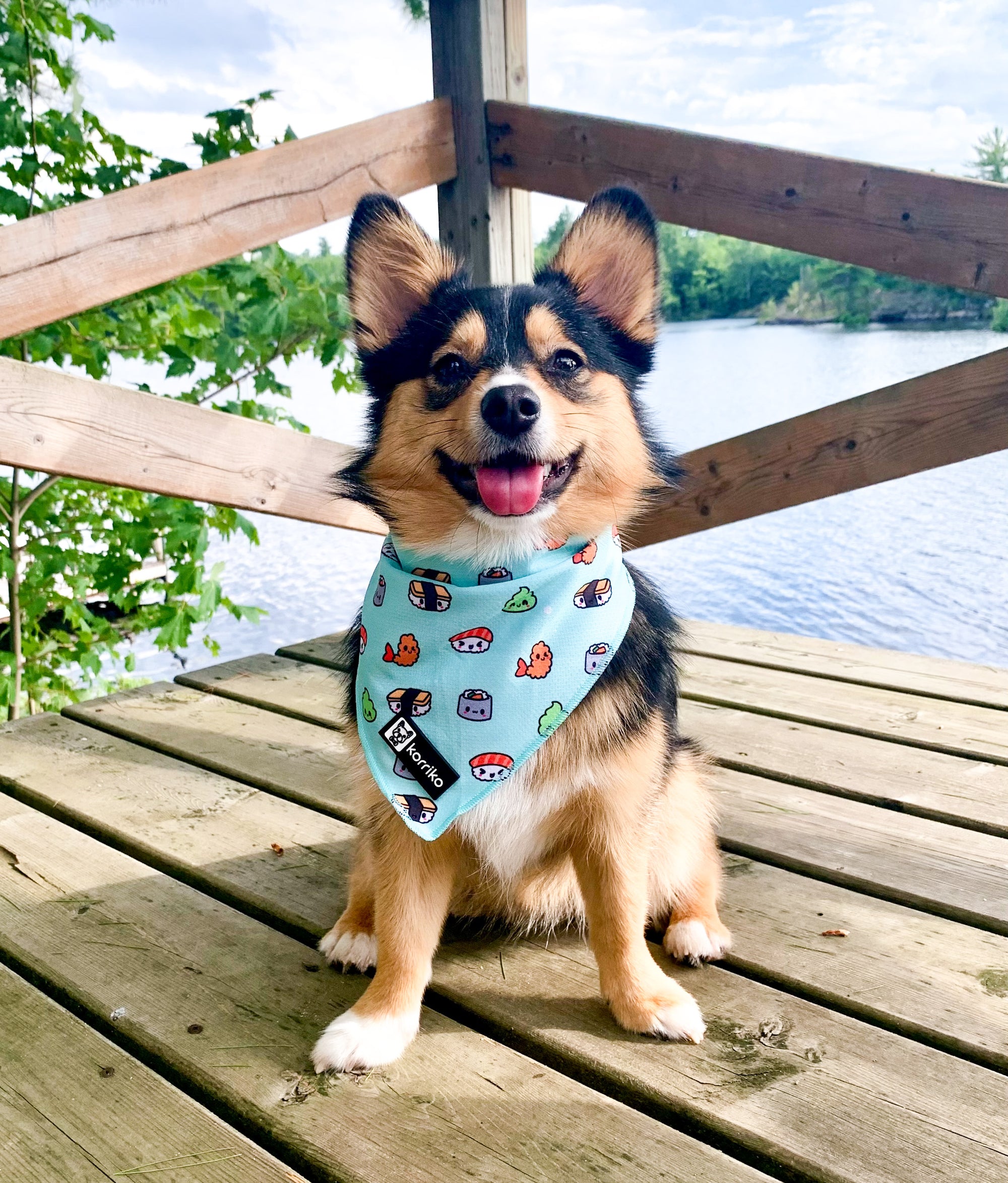 Cooling Dog Bandana - Sushi