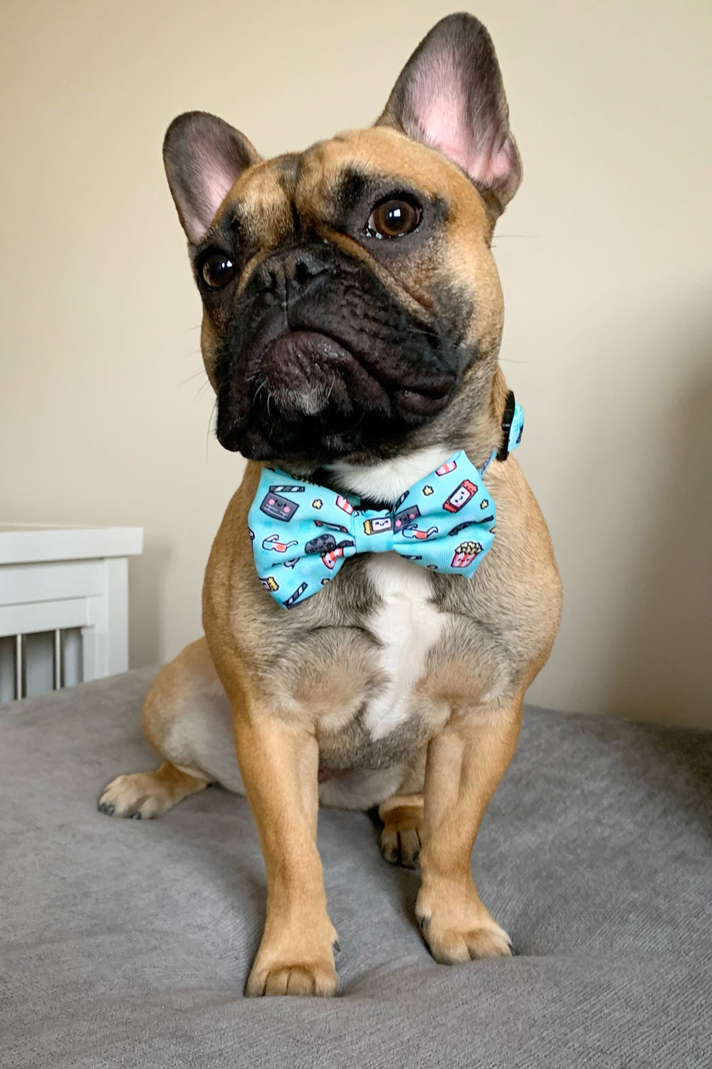 Ultimate Collar Bundle Set - Pupflix (5-Piece) (Final Sale)