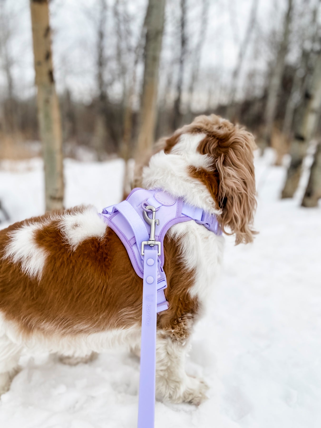 Exploration Lite No-Pull Dog Harness - Lilac