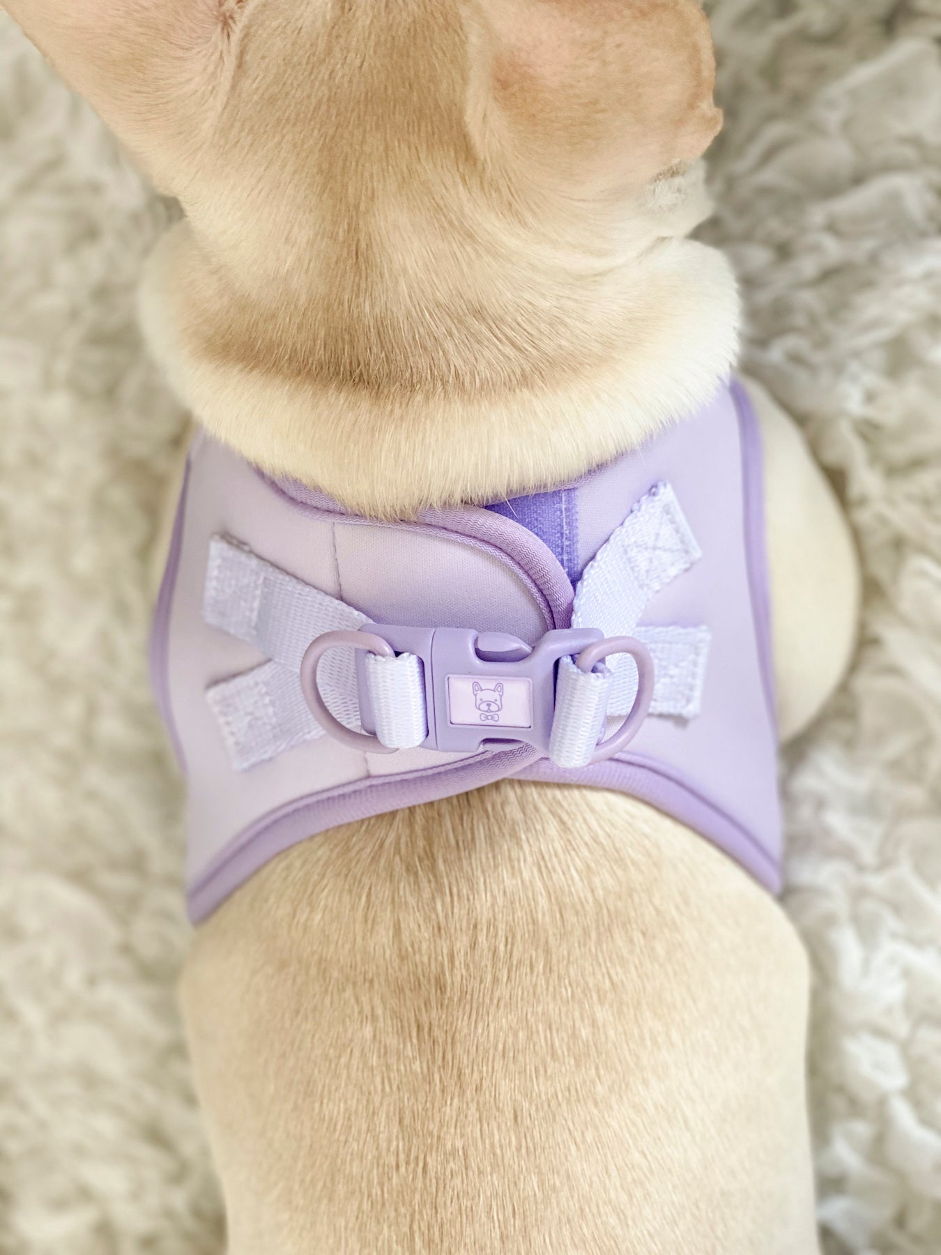 Step-In Dog Harness - Lilac