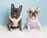 Step-In Dog Harness - Lilac (Final Sale)