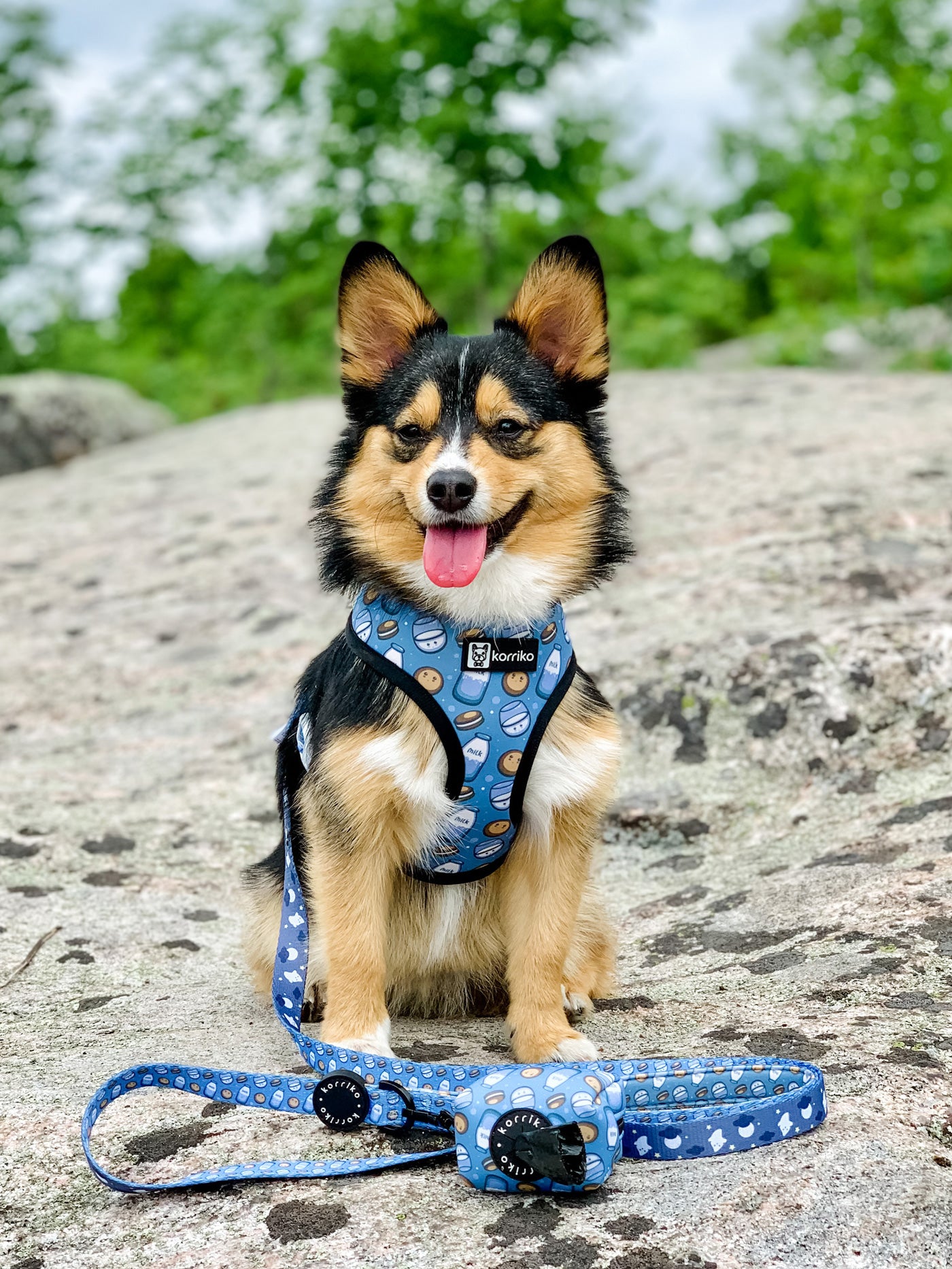 Reversible Dog Harness - Milky Way (Final Sale)