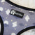 Reversible Dog Harness - Milky Way (Final Sale)