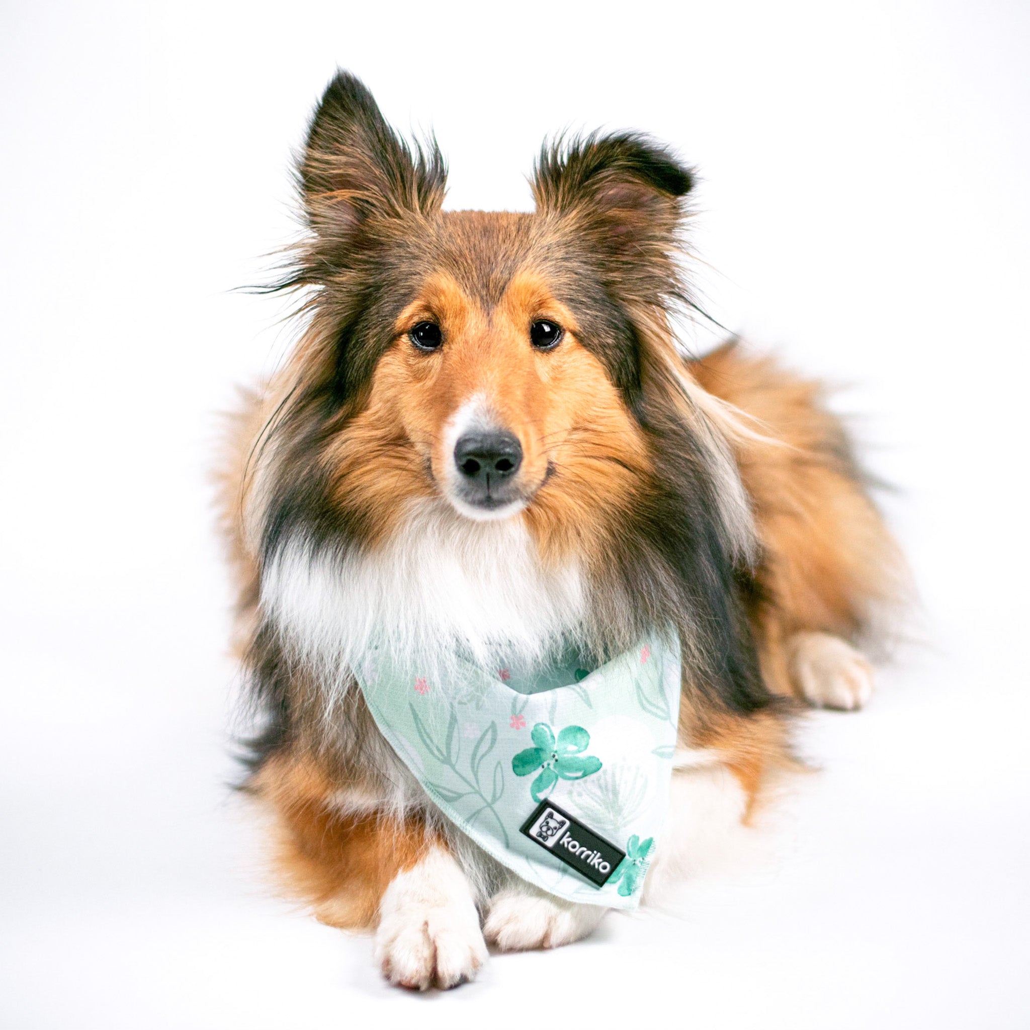 Ultimate Collar Bundle Set - Mint Sakura (5-Piece) (Final Sale)